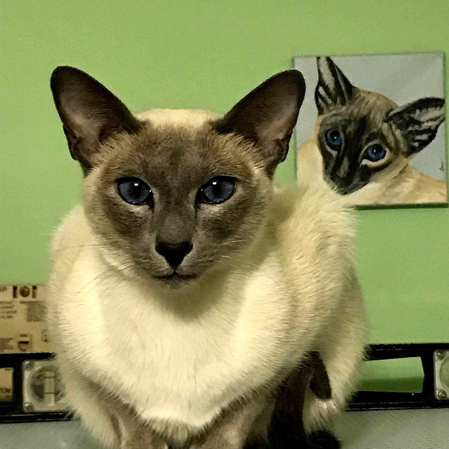 Tikibluegirl