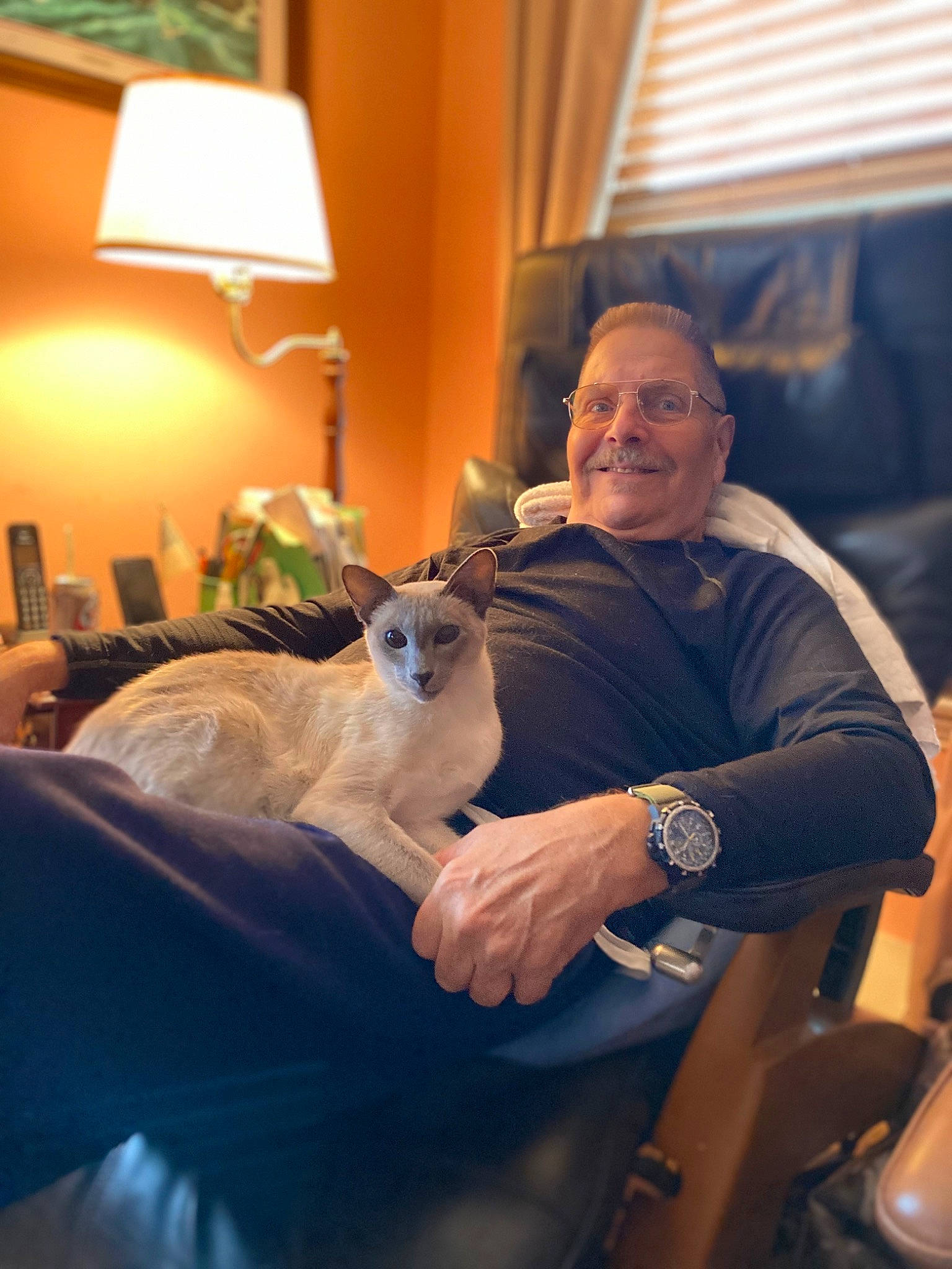 Tikibluegirl is registered to the contest to win money with this photo: canidae, carnivore, cat, comfort, companion_dog, curtain, event, felidae, fun, fur, lamp, lap, pillow, room, sitting, small_to_medium_sized_cats, smile, watch, whiskers, wrist