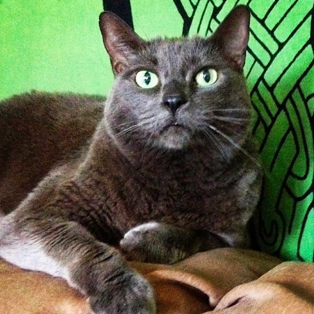 Ernest