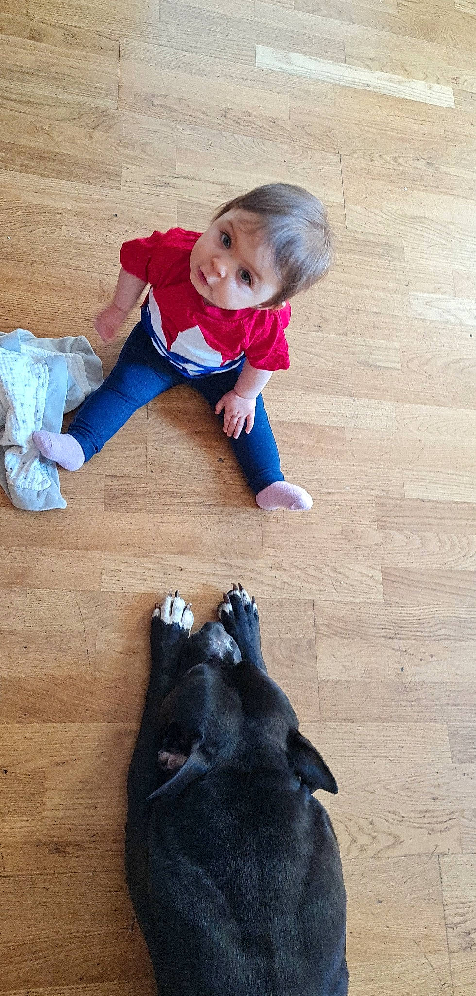Naïa participe au concours pour gagner de l'argent avec cette photo : arm, baby_toddler_clothing, clothing, comfort, electric_blue, floor, flooring, happy, hardwood, head, human_leg, knee, leg, outerwear, person, sleeve, sneakers, sock, sportswear, toddler