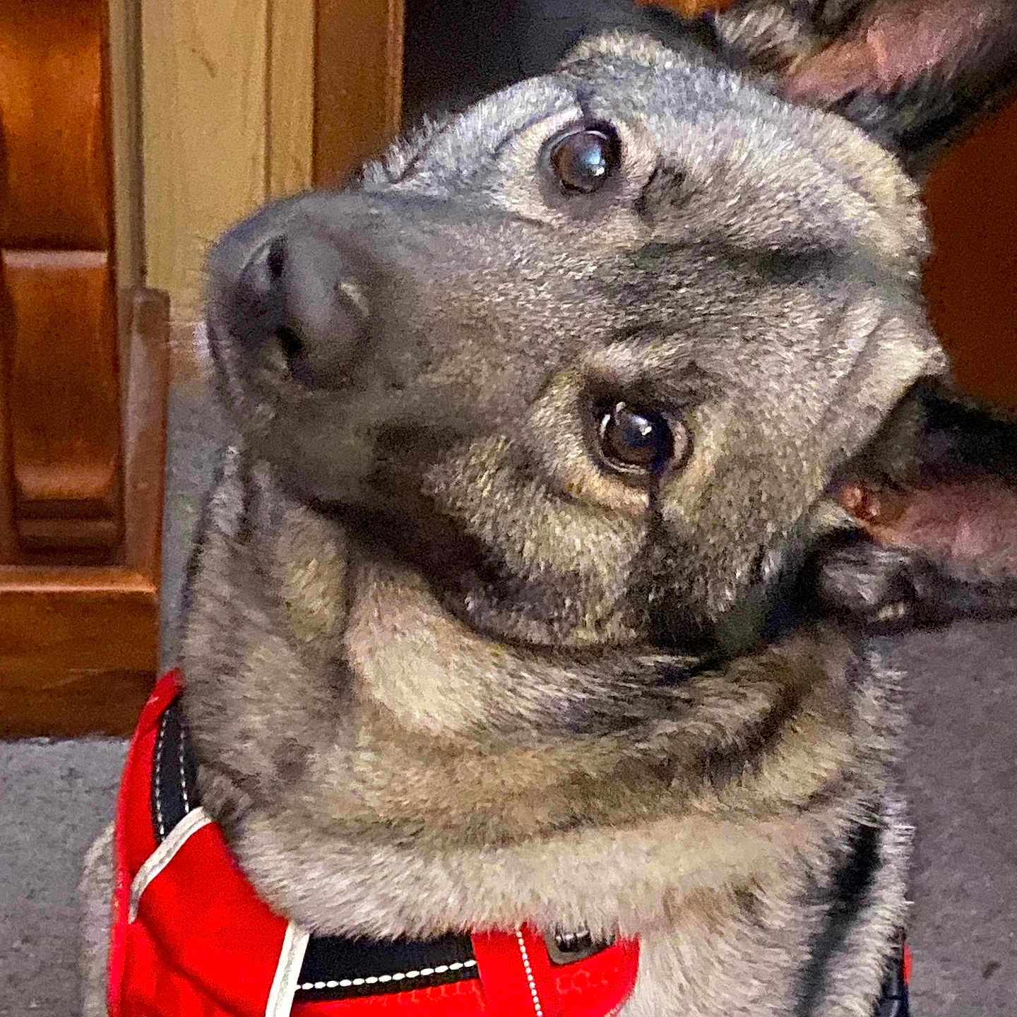 Max