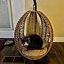 cat, pet, indoor, hanging_chair, woven_basket, cushion, cozy, feline, whiskers, sitting, curled_up, wood_floor, wall, door, blinds, vent, looking_at_camera, furniture, home_interior, plush