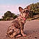 Gracie Lou