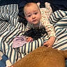 animal_pattern, baby, bed, blanket, child, comfort, cozy, crawling, curious, dog, expression, face, fur, hand, indoor, onesie, person, pet, soft, striped_blanket