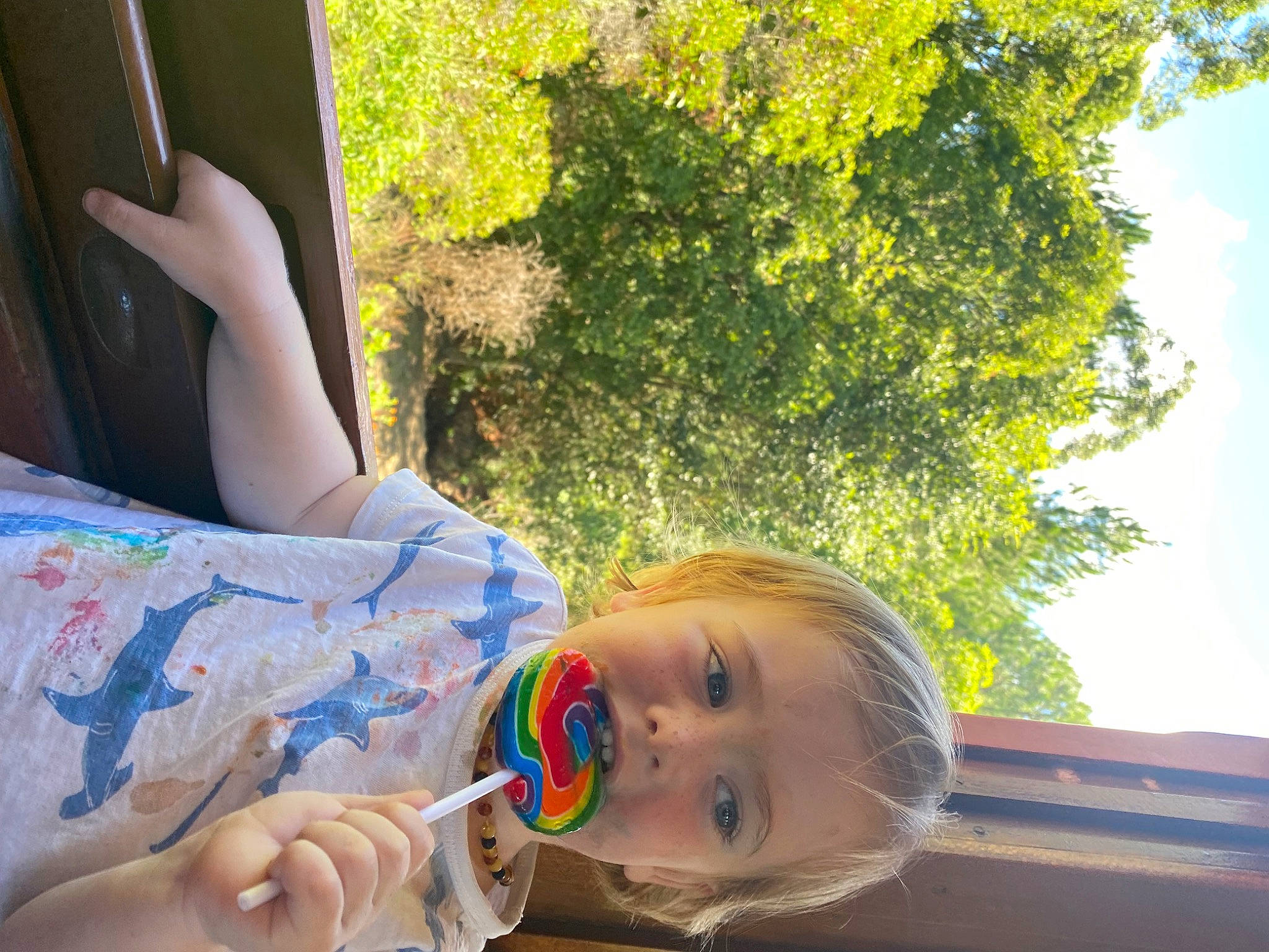 Khylan is registered to the contest to win money with this photo: child, fun, grass, happy, human_leg, leaf, leisure, people_in_nature, person, plant, recreation, sitting, sky, smile, summer, sunlight, toddler, tree, window, wood