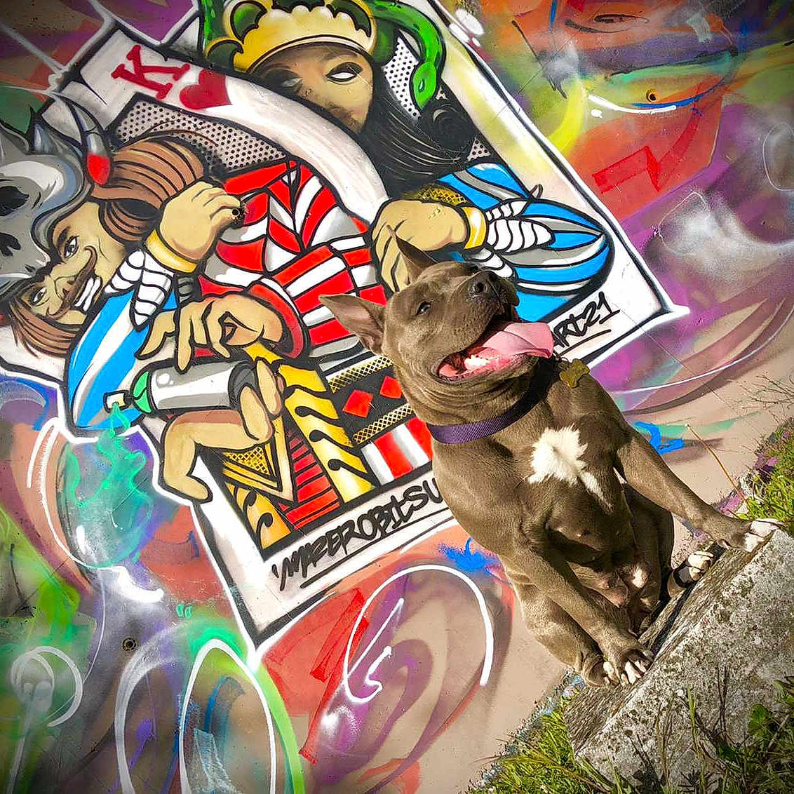Blue a rejoint le concours — aidez-le/la à gagner de superbes lots ! art, drawing, fiction, fictional_character, font, glass, graffiti, graphic_design, graphics, illustration, modern_art, mural, paint, painting, pattern, plant, street_art, tree, visual_arts