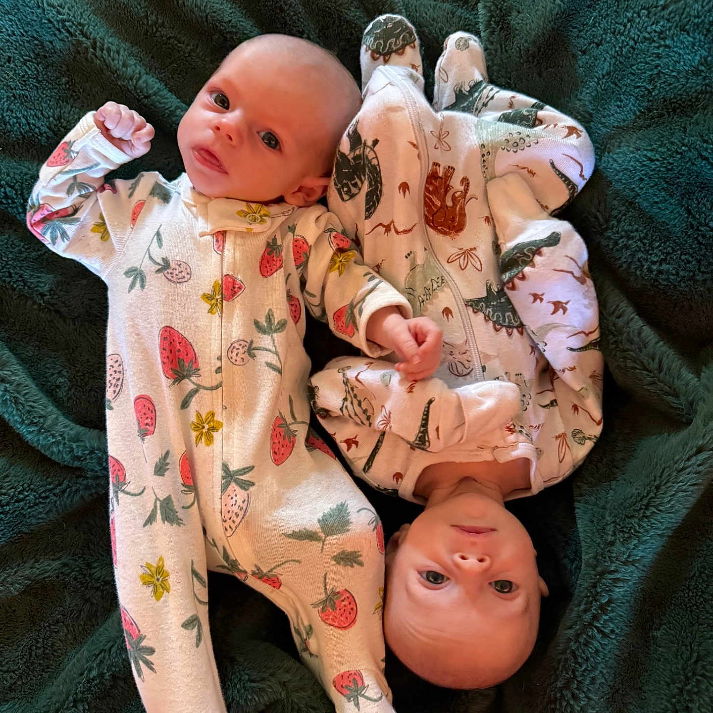 Madisyn Maddox Twins joined the competition — help win amazing prizes! adorable, baby, blanket, child, cute, dinosaur_pattern, eyes, face, green_blanket, head, indoor, infant, lying_down, newborn, onesie, patterned_clothing, skin, soft_texture, strawberry_pattern, two_babies