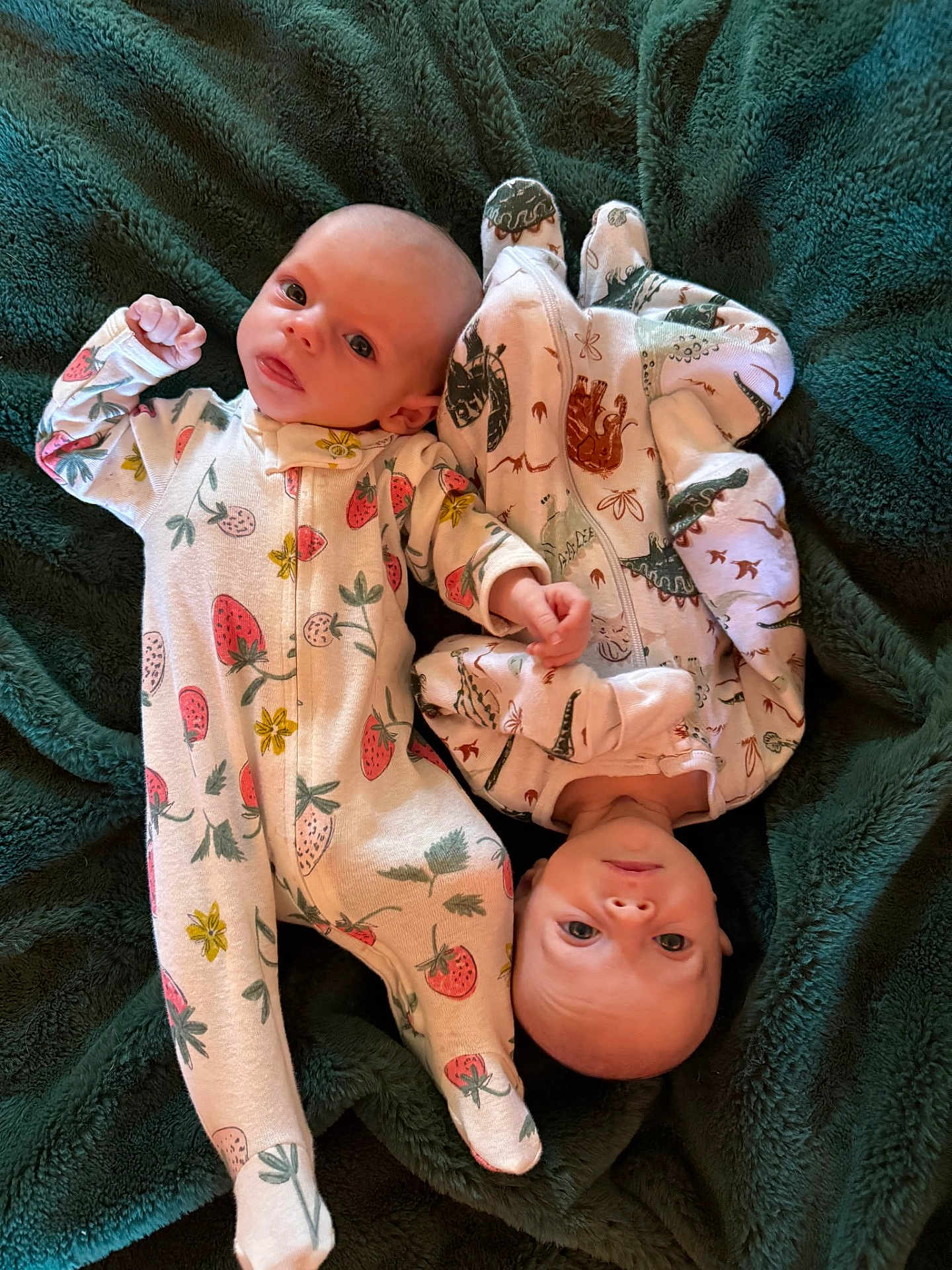 Madisyn Maddox Twins