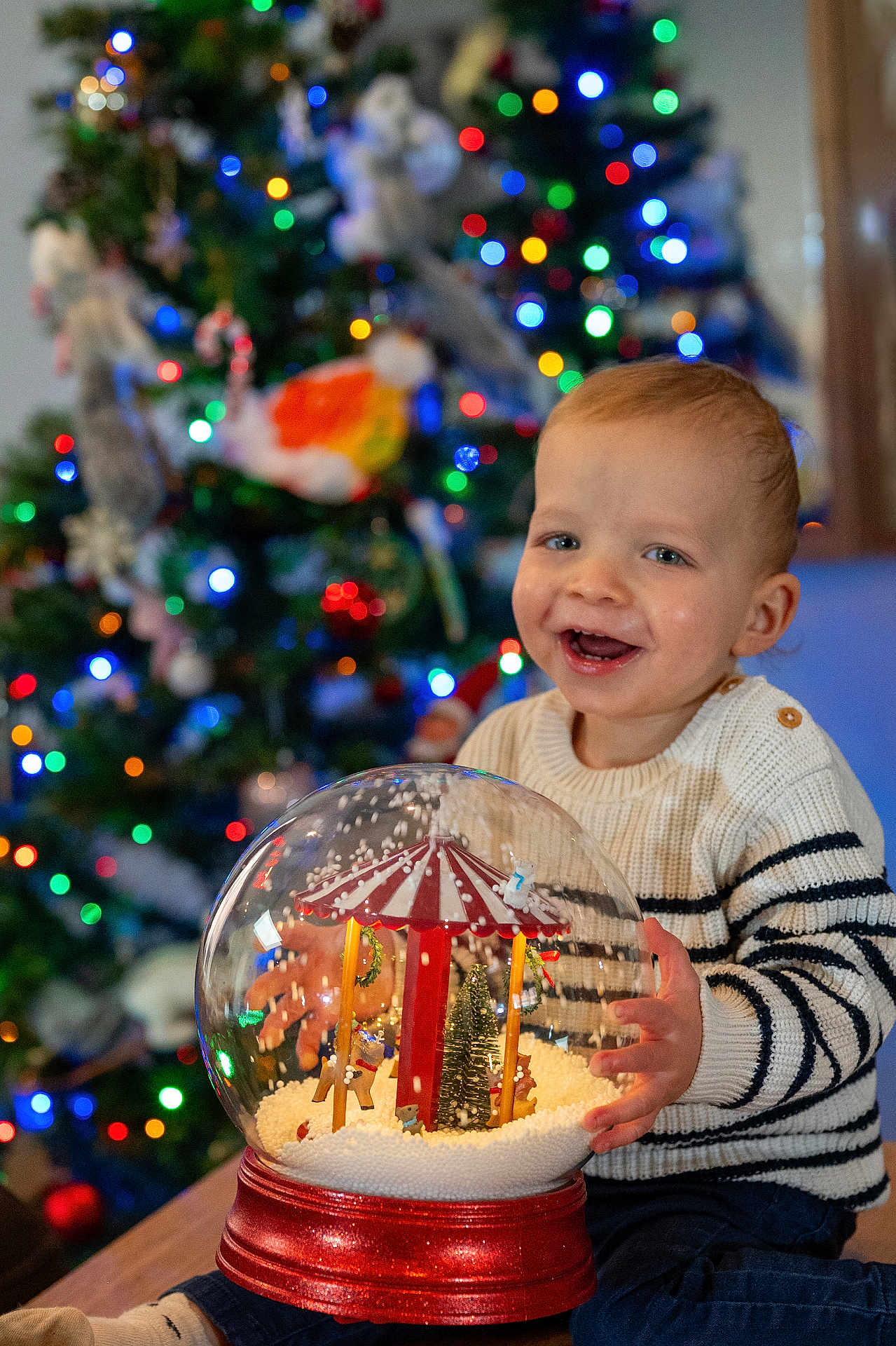 Mylo a rejoint le concours — aidez-le/la à gagner de superbes lots ! toddler, child, smiling, snow_globe, carousel, christmas_tree, christmas_lights, bokeh, striped_sweater, sweater, indoor, holiday, decorations, toy, hands, portrait, happy, table, home, festive