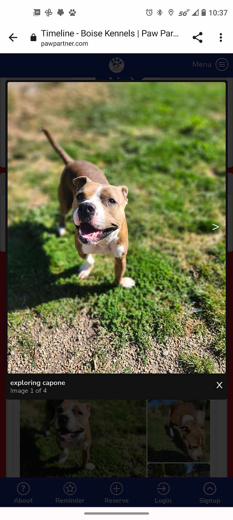 Capone