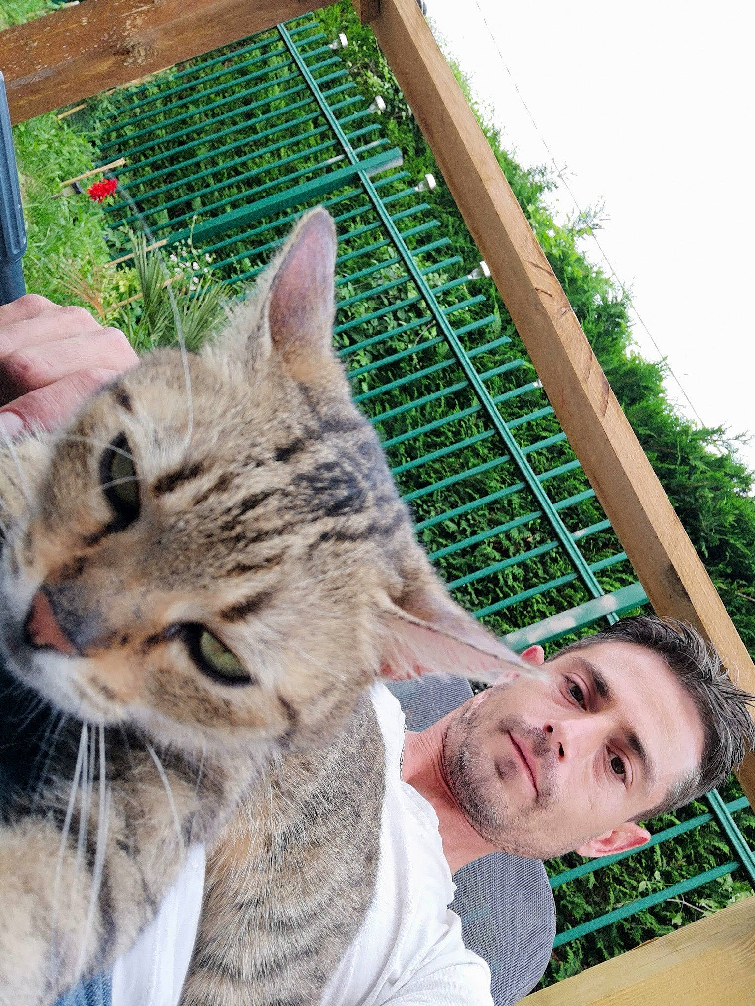 Grenadine a rejoint le concours — aidez-le/la à gagner de superbes lots ! carnivore, cat, domestic_short_haired_cat, felidae, fur, grass, happy, leisure, plant, sitting, sky, small_to_medium_sized_cats, smile, snout, tree, whiskers, wildlife