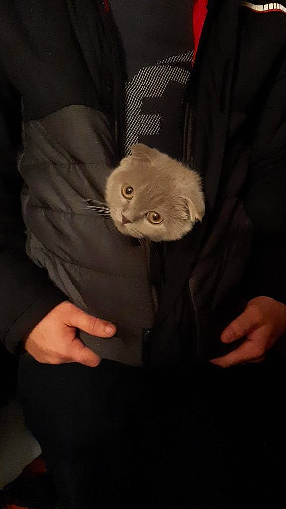 Bidou participe au concours pour gagner de l'argent avec cette photo : button, cap, collar, comfort, darkness, fashion_accessory, finger, formal_wear, fur, gesture, hand, linens, nail, plush, sleeve, snout, stuffed_toy, teddy_bear, thumb, toy