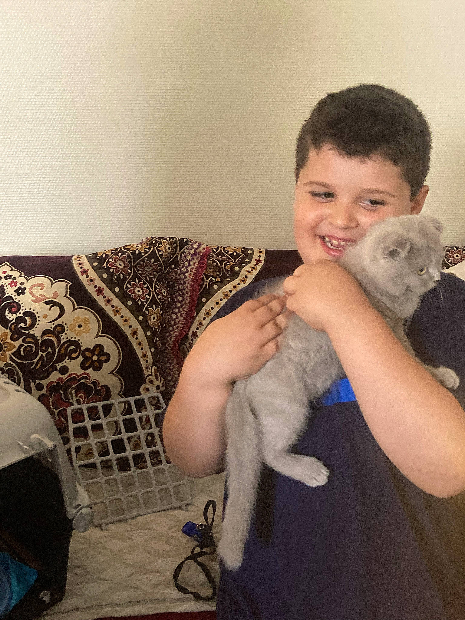 Bidou a rejoint le concours — aidez-le/la à gagner de superbes lots ! cat, chair, comfort, companion_dog, event, fawn, felidae, fur, hairstyle, happy, hug, iris, pattern, shoulder, sitting, small_to_medium_sized_cats, smile, textile, toy, whiskers