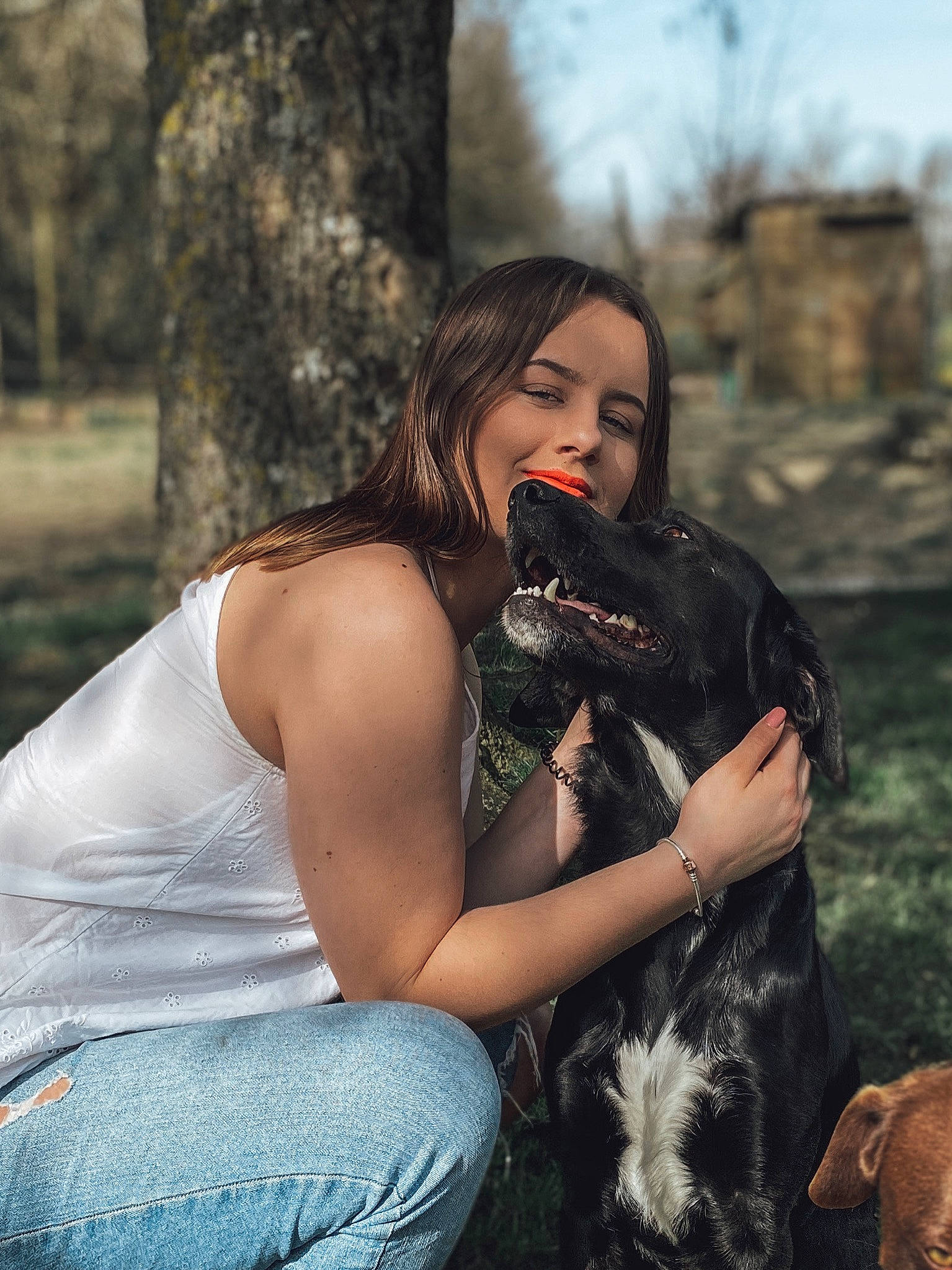 Mocka a rejoint le concours — aidez-le/la à gagner de superbes lots ! beauty, brown_hair, canidae, carnivore, companion_dog, dog, eye, fawn, long_hair, model, photo_shoot, photography, sitting, smile, sporting_group, tree