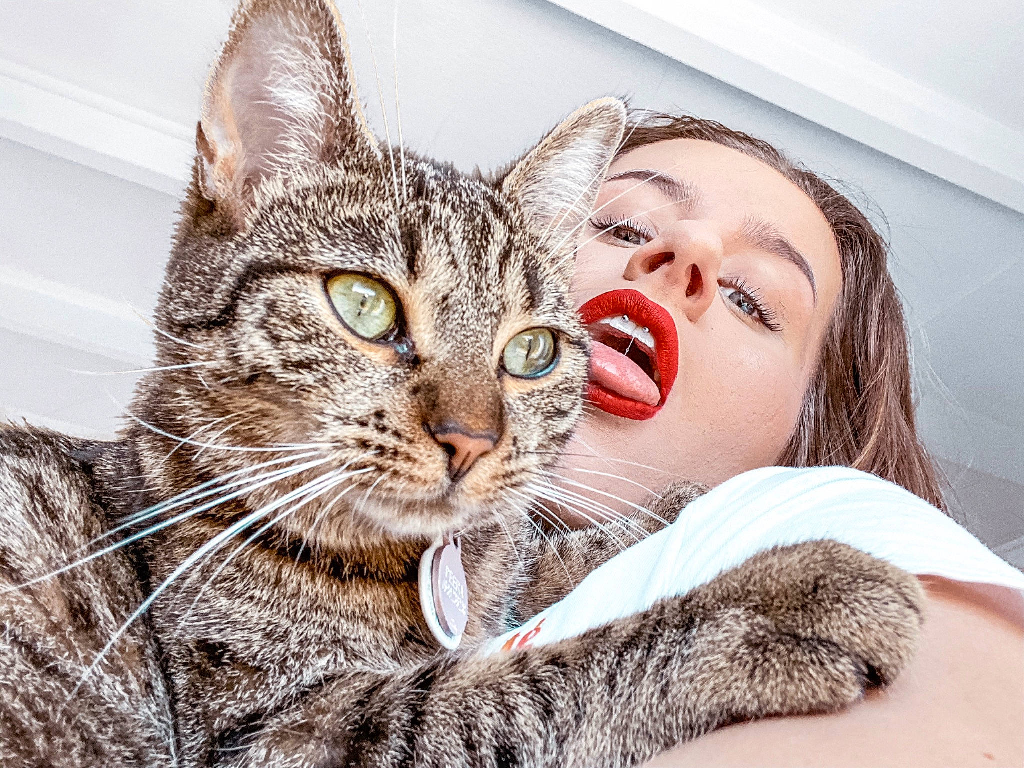 Peera participe au concours pour gagner de l'argent avec cette photo : beauty, carnivore, cat, domestic_short_haired_cat, ear, european_shorthair, eye, felidae, fur, hug, kitten, lip, love, mouth, nose, organ, small_to_medium_sized_cats, snout, tabby_cat, whiskers