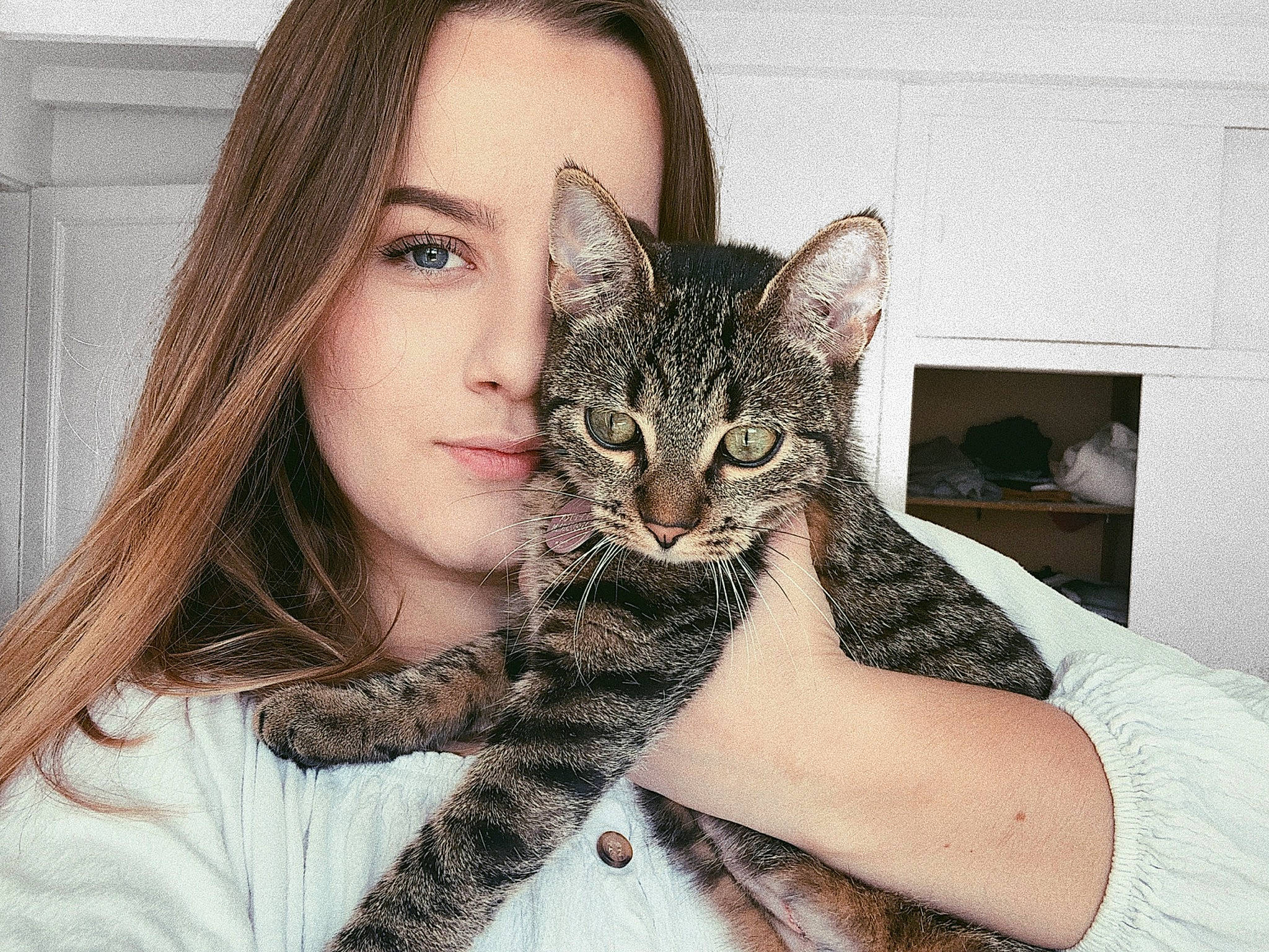 Peera a rejoint le concours — aidez-le/la à gagner de superbes lots ! arm, beauty, cat, domestic_short_haired_cat, dragon_li, european_shorthair, eye, face, felidae, fur, hair, hand, head, lip, nose, shoulder, skin, small_to_medium_sized_cats, tabby_cat, whiskers