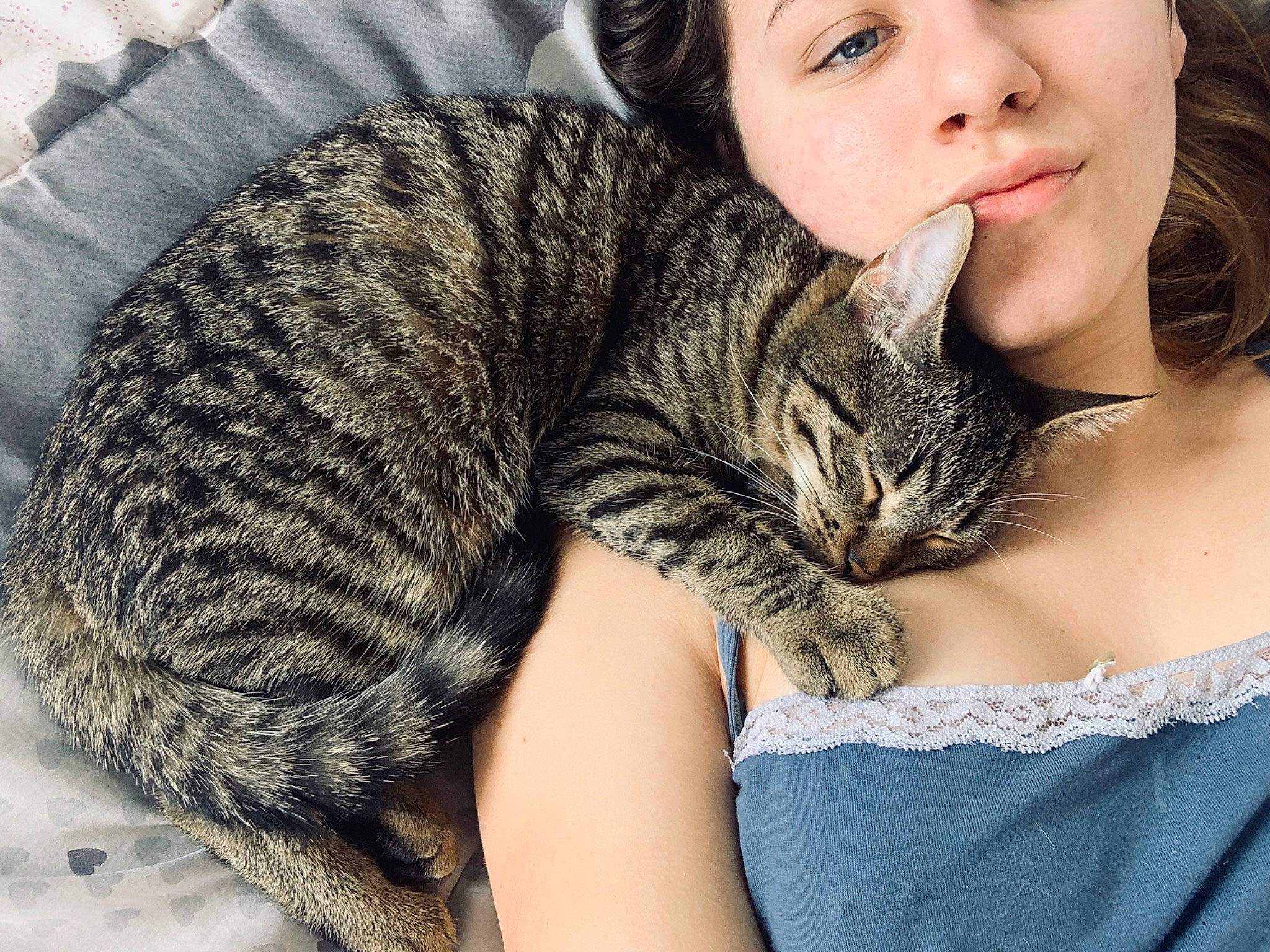 Peera a rejoint le concours — aidez-le/la à gagner de superbes lots ! beauty, brown_hair, carnivore, cat, child, ear, european_shorthair, eye, felidae, fur, hair, hand, leg, lip, nose, shoulder, skin, small_to_medium_sized_cats, tabby_cat, whiskers