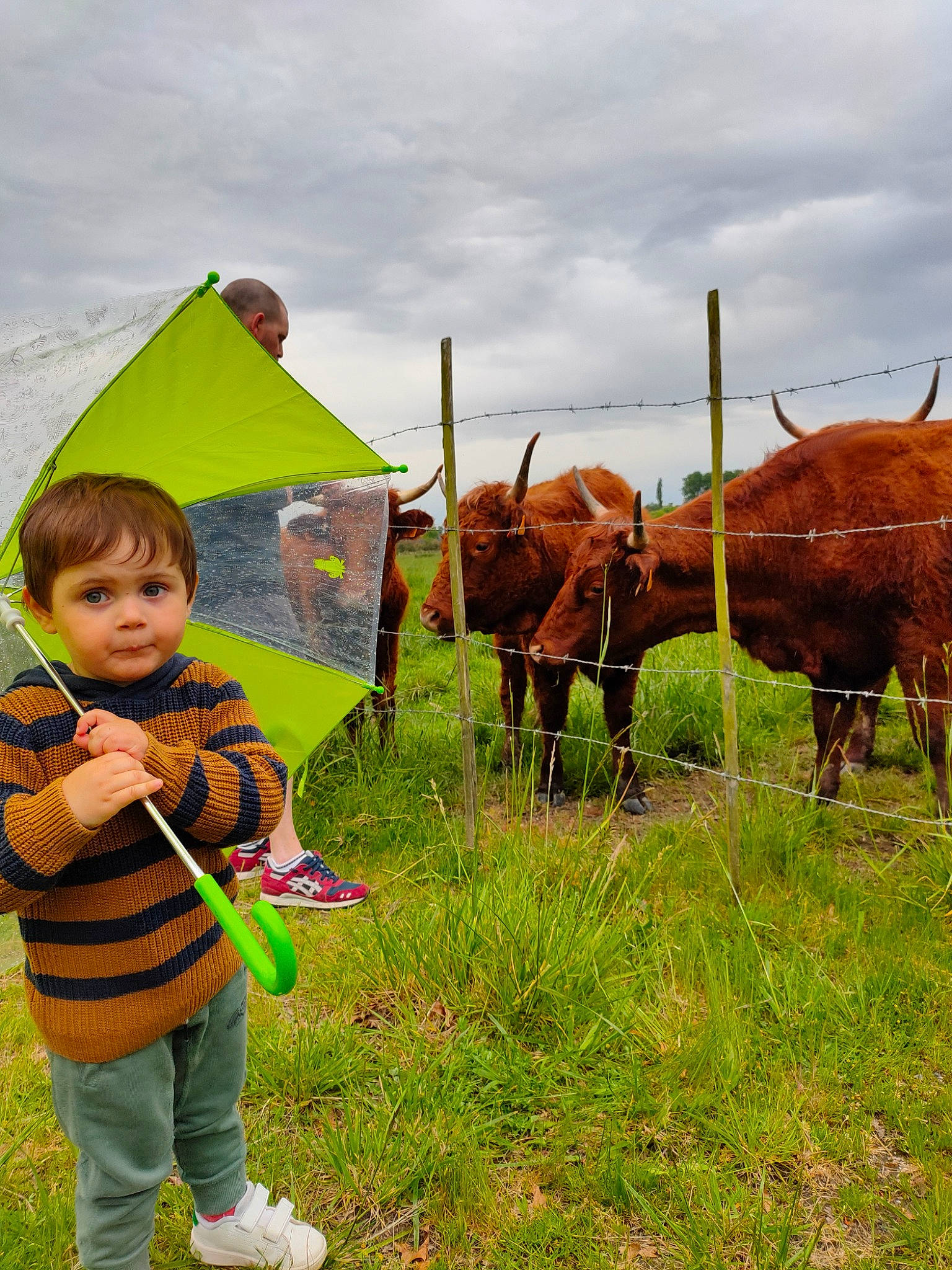 Isaïah participe au concours pour gagner de l'argent avec cette photo : adaptation, bovine, child, cow_goat_family, dairy_cow, farm, farmer, field, grass, grassland, grazing, green, happy, highland, livestock, meadow, pasture, person, plant, rural_area