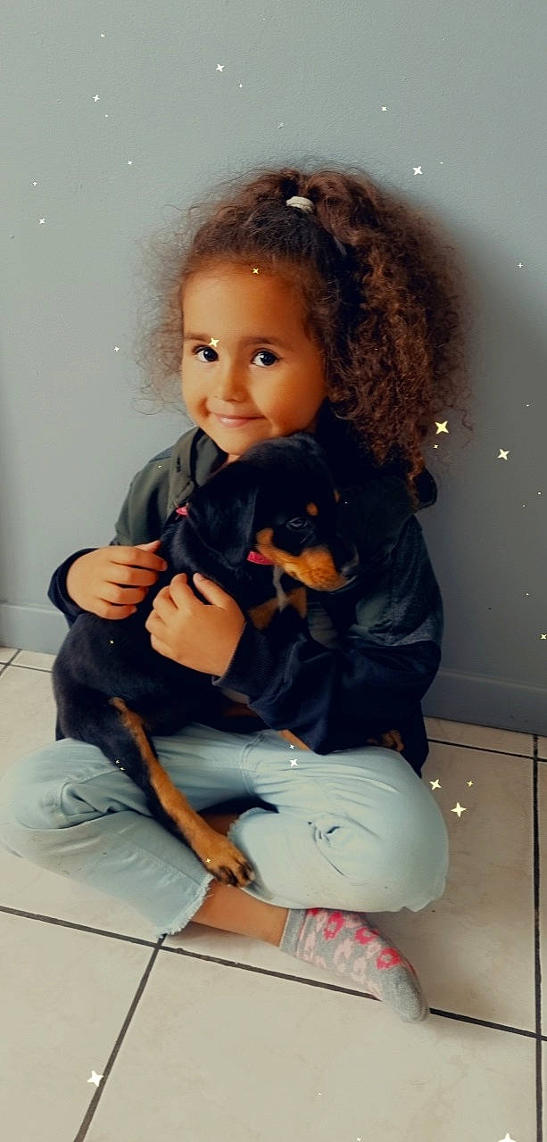 Yléana a rejoint le concours — aidez-le/la à gagner de superbes lots ! black_hair, carnivore, child, comfort, companion_dog, dog, dog_breed, doll, fawn, fun, hairstyle, joint, joy, knee, long_hair, person, ringlet, shoulder, skin, standing