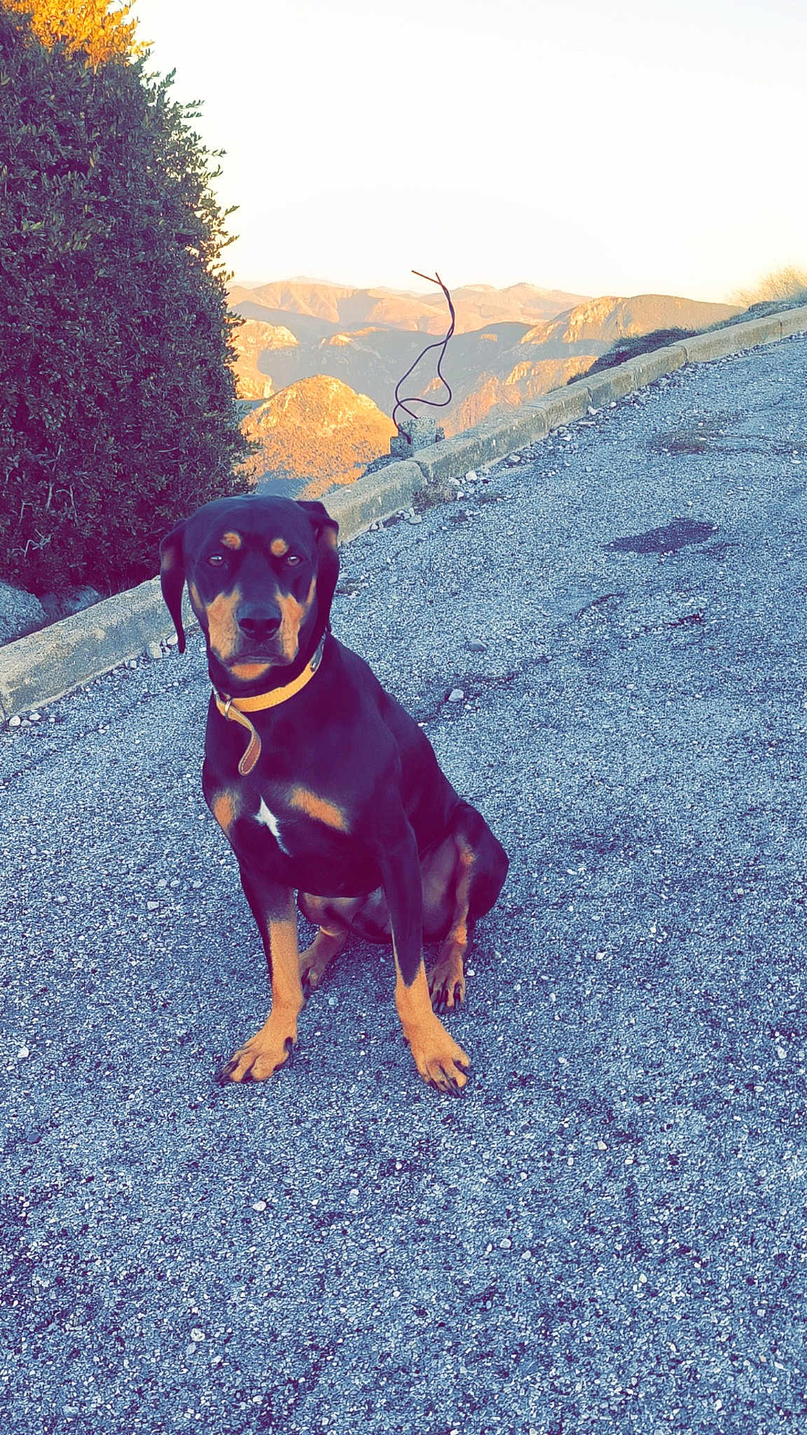Rocky