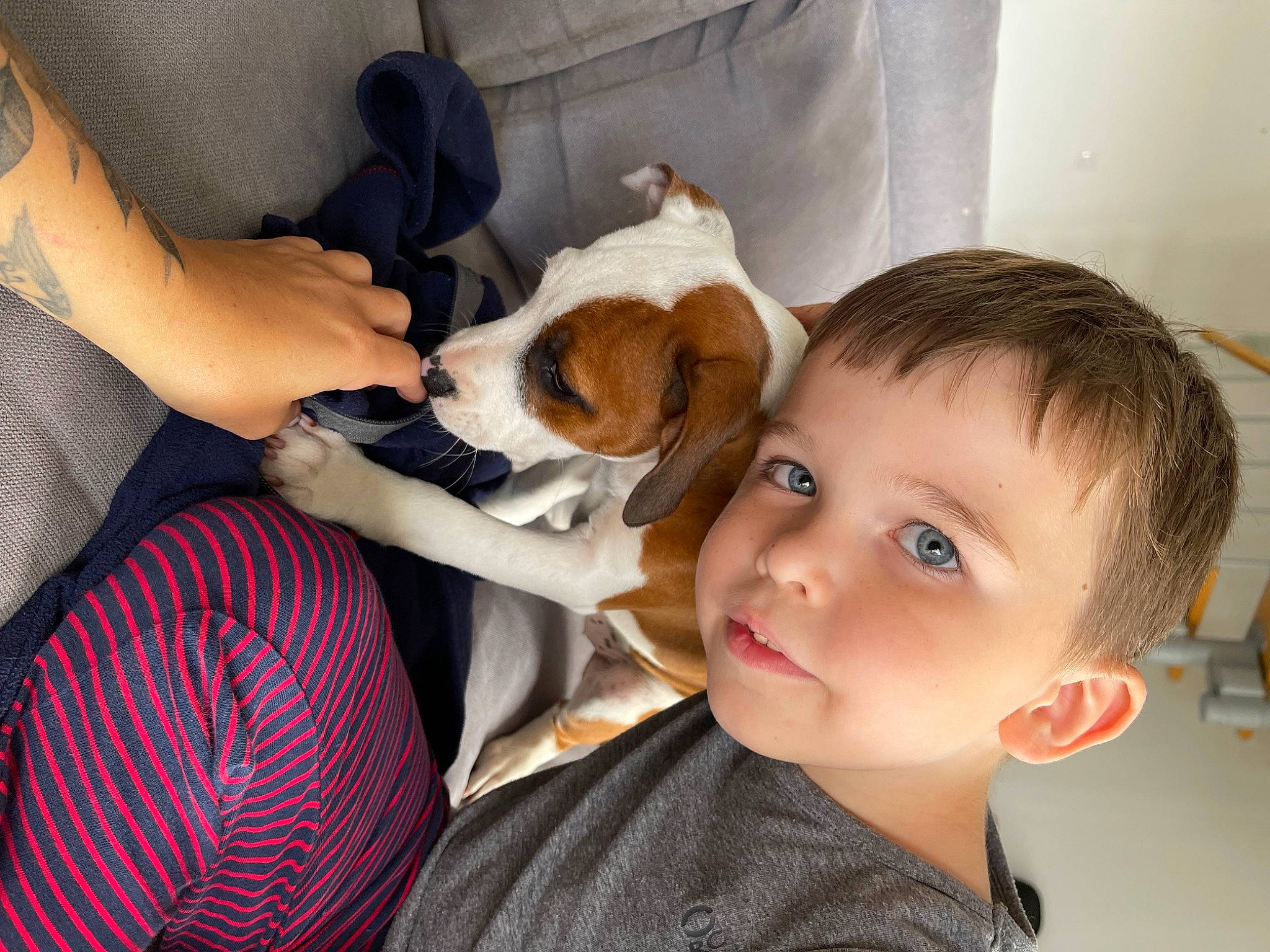 Raphaël participe au concours pour gagner de l'argent avec cette photo : canidae, carnivore, child, comfort, companion_dog, dog, dog_breed, ear, fawn, fun, happy, lap, nap, person, puppy_love, sitting, sporting_group, stuffed_toy, toddler, toy_dog