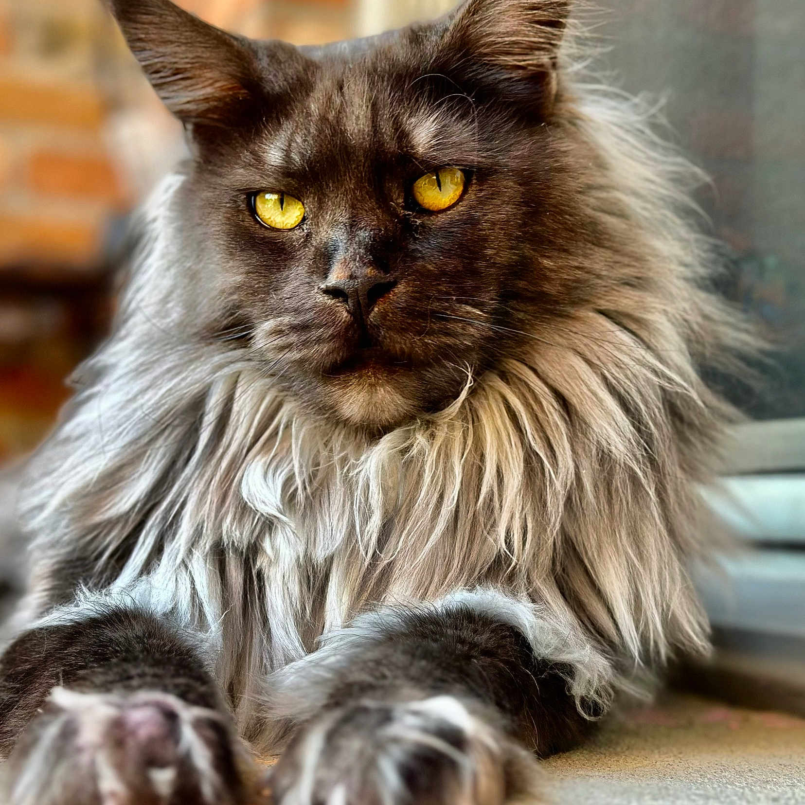 Loki