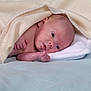 Raphaël participe au concours pour gagner de l'argent avec cette photo : baby, newborn, blanket, soft, infant, pillow, face, skin, hand, lying_down, bed, sleeping_area, cozy, cute, portrait, indoors, head, young, resting, peaceful