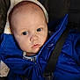 baby, child, blue_jacket, car_seat, straps, face, infant, clothing, closeup, indoors, person, young_child, cute, head, eyes, expression, warm_clothing, safety, seat_belt, portrait