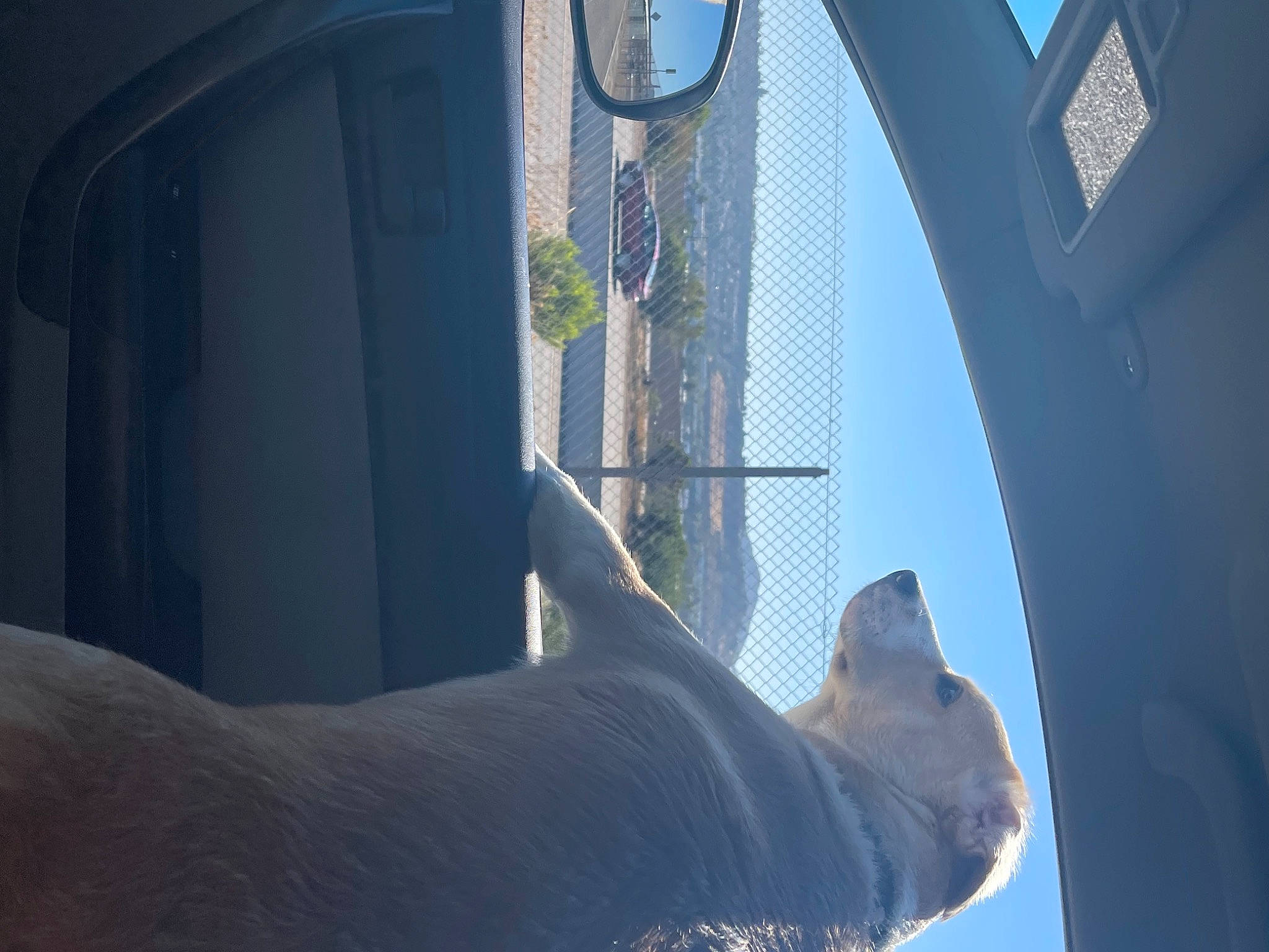 Kairo joined the competition — help win amazing prizes! architecture, art, azure, blue, building, daytime, electric_blue, facade, gesture, glass, metal, plant, sculpture, shadow, sky, tints_and_shades, tower, tree, window, wing