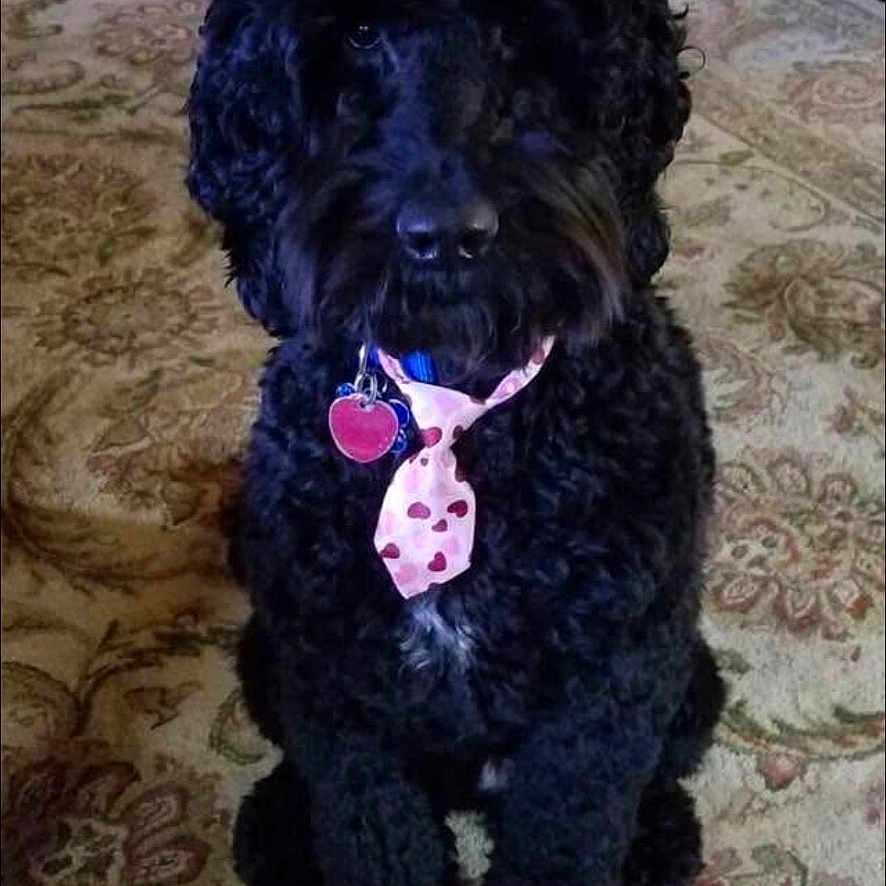 Tucker