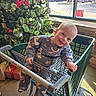 toddler, child, shopping_cart, christmas_tree, holiday_decorations, ornaments, pinecones, lights, window, daylight, indoor, smiling, cute, clothing, floor, gift_box, green, red, person, happy