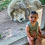 Sacha participe au concours pour gagner de l'argent avec cette photo : baby, lion, glass, zoo, animal, child, wildlife, nature, curious, sleeping, outdoor, grass, wood, hands, portrait, closeup, face, person, resting, captive