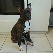 Helya a rejoint le concours — aidez-le/la à gagner de superbes lots !