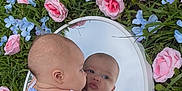 Laila is registered to the contest to win money with this photo: baby, mirror, reflection, blue_dress, pink_roses, blue_flowers, grass, nature, outdoor, cute, infant, portrait, flower_bed, skin, child, young, curious, closeup, peaceful, daylight