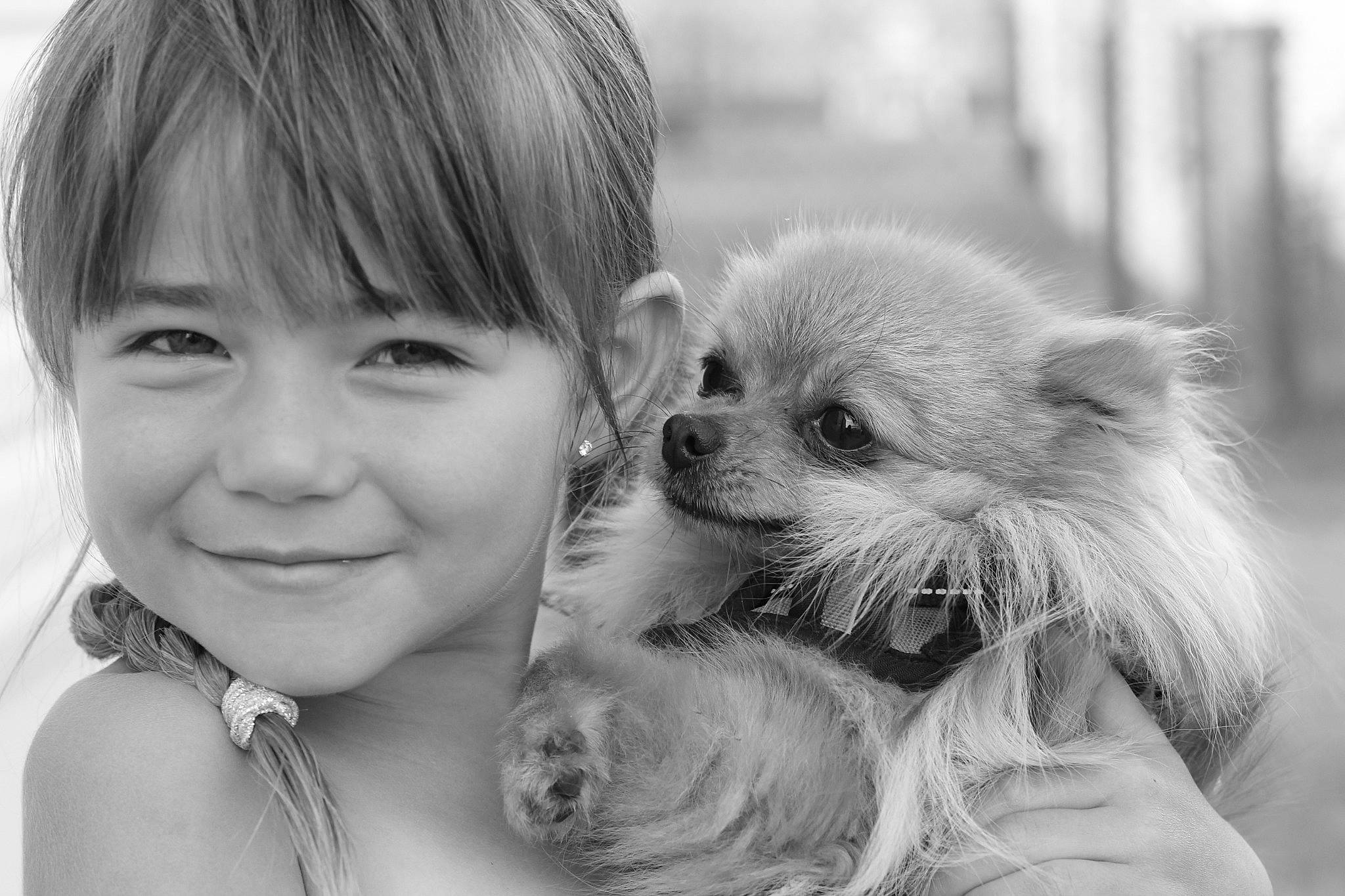 Ambre participe au concours pour gagner de l'argent avec cette photo : bangs, black_and_white, carnivore, companion_dog, dog, dog_breed, fur, interaction, iris, jewellery, joy, mammal, monochrome, monochrome_photography, person, puppy, skin, snout, spitz, style