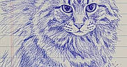Ratty joined the competition — help win amazing prizes! animal, art, blue_ink, cat, closeup, drawing, ears, face, fluffy, fur, handmade, illustration, lined_paper, notebook, pen, portrait, sketch, striped, texture, whiskers