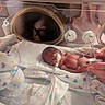 premature_baby, incubator, hospital, medical_tubes, newborn, baby, hand, blanket, heart_pattern, care, fragile, medical_equipment, person, neonatal_care, infant, healthcare, bed, closeup, life, tender_moment