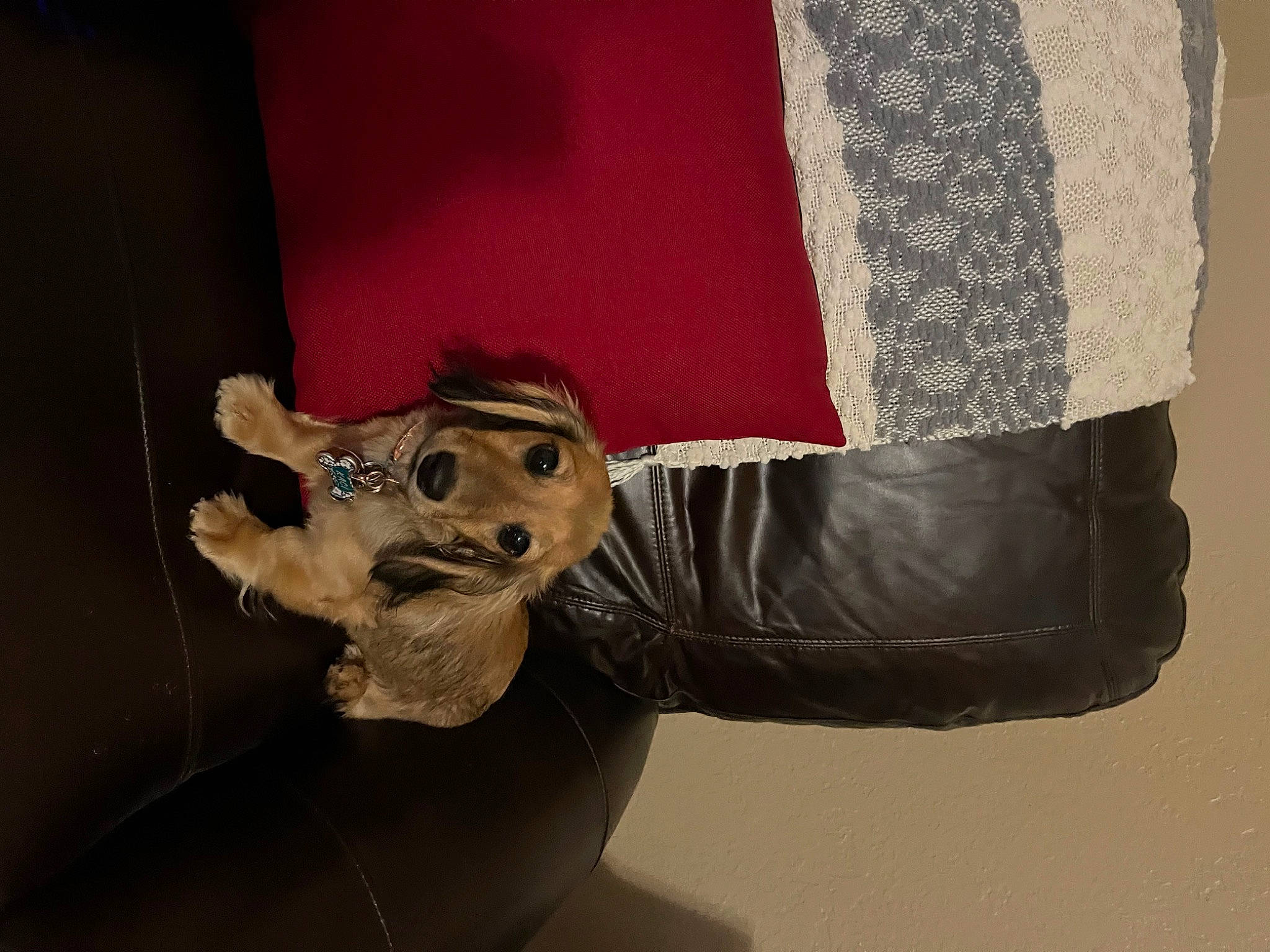 Kaci joined the competition — help win amazing prizes! ceiling, comfort, denim, foot, fun, fur, gesture, human_body, human_leg, jacket, personal_protective_equipment, room, sitting, sleeve, sportswear, suit, textile, thigh, visual_arts, wood