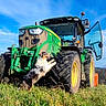 Rubby participe au concours pour gagner de l'argent avec cette photo : dog, tractor, green_tractor, tire, grass, field, blue_sky, clouds, sunny, outdoor, animal, playful, farm, vehicle, nature, daytime, pet, jumping, rural, agriculture