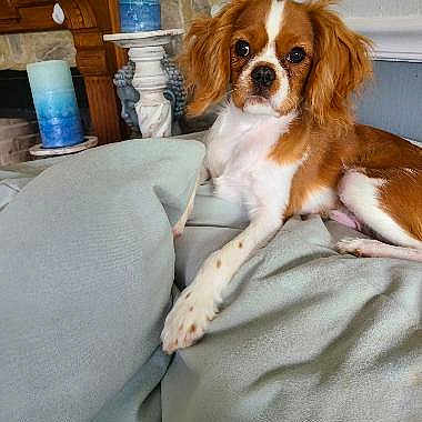 Max