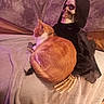 Bambi joined the competition — help win amazing prizes! cat, orange_cat, white_cat, pet, feline, skeleton, skull, hooded_figure, mannequin, costume, blanket, bed, indoor, portrait, sitting, sleeping, relaxed, skeleton_hand, dark_clothing, purple_lighting