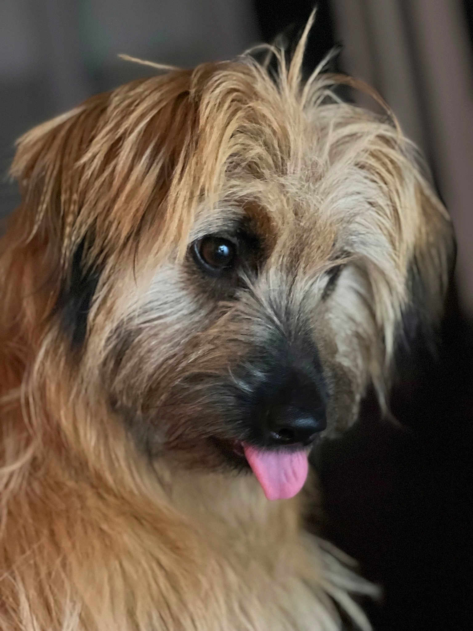 Simone