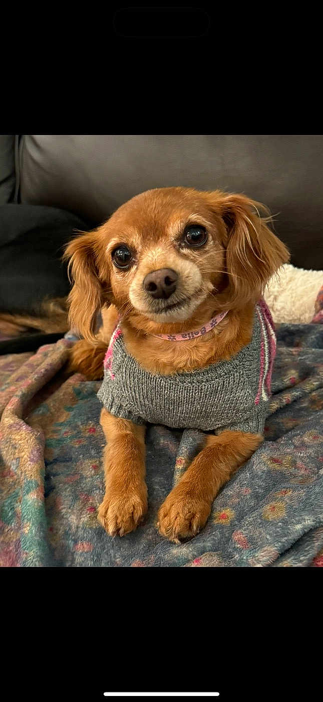 Bella