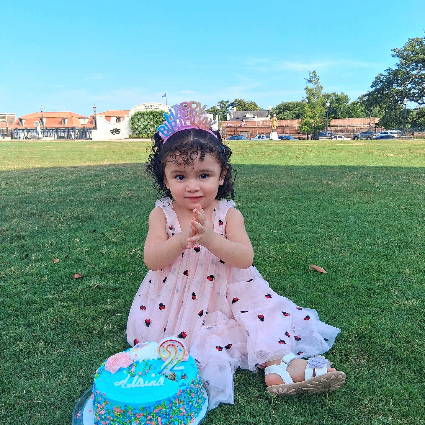 Alaina is registered to the contest to win money with this photo: child, toddler, birthday, birthday_cake, happy_birthday, party_hat, crown, girl, curly_hair, smiling, pink_dress, sandals, sitting, grass, park, outdoor, sunny, portrait, dessert, celebration