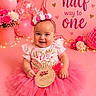 baby, child, tutu, pink, birthday, party, balloons, flowers, smiling, crown, celebration, infant, cute, decorations, sign, tulle, festive, happy, portrait, sitting