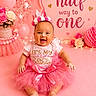 baby, birthday, pink, tutu, crown, cake, frosting, celebration, smiling, sitting, balloons, flowers, decorations, party, infant, happy, girl, festive, indoors, portrait