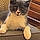 Aby