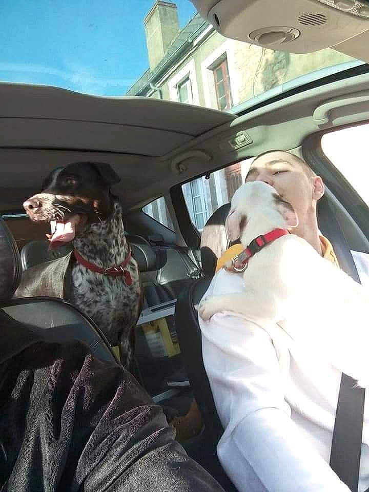 Popy participe au concours pour gagner de l'argent avec cette photo : auto_part, automotive_exterior, automotive_window_part, car, car_seat, driving, eyewear, family_car, luxury_vehicle, passenger, sunglasses, vehicle