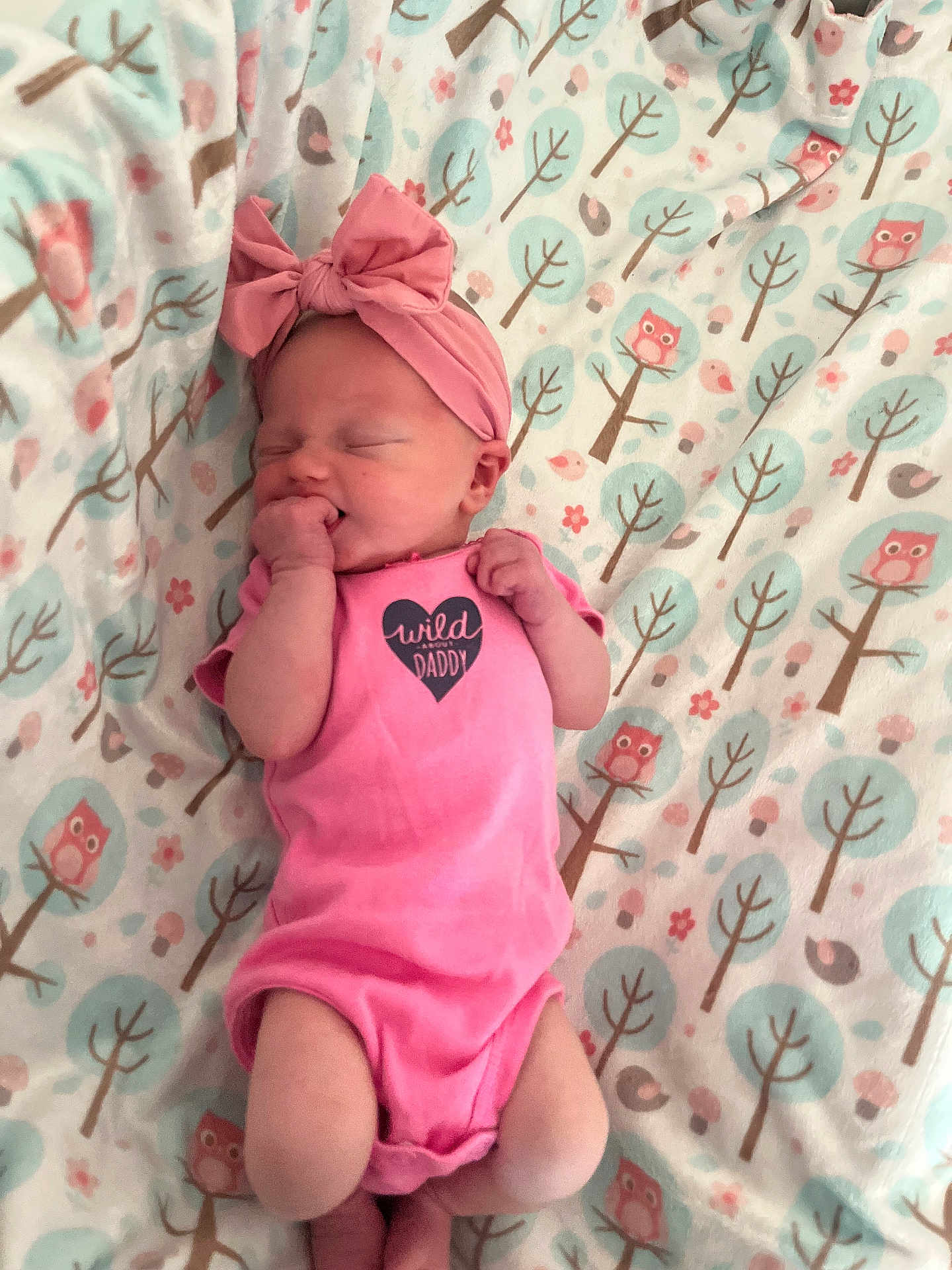 Fern joined the competition — help win amazing prizes! baby, newborn, infant, pink_onesie, headband, bow, blanket, owl_pattern, trees, sleeping, fingers_in_mouth, cute, child, resting, soft_texture, cozy, indoor, portrait, peaceful, small