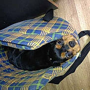 Happy a rejoint le concours — aidez-le/la à gagner de superbes lots !